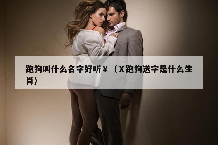 跑狗叫什么名字好听￥（Ⅹ跑狗送字是什么生肖）